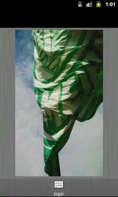 Palmeiras Músicas Torcida android App screenshot 1