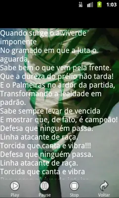 Palmeiras Músicas Torcida android App screenshot 4